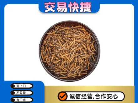 肇庆礼品回收虫草.jpg